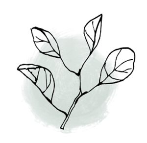 A graphic of a branch with leaves on it representing Thrive Therapy where Christina works as a Trauma Therapist in Ohio.