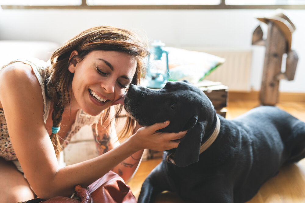 Woman laughing and hugging her big black dog representing the joy that can be found in life with the help of Therapy for Childhood Trauma Survivors in Ohio.
