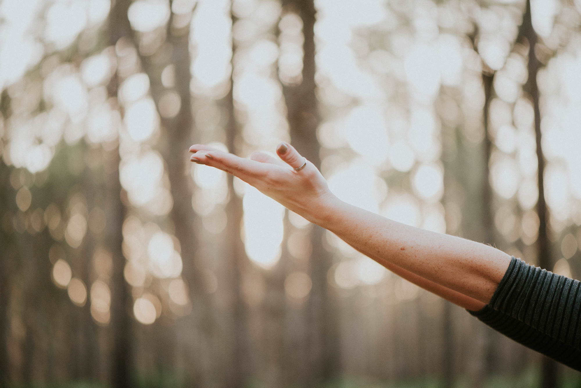 Woman's hands reaching out for support and understanding to overcome sexual trauma. Therapy for Sexual Assault Survivors in Ohio is here to support and care for you.