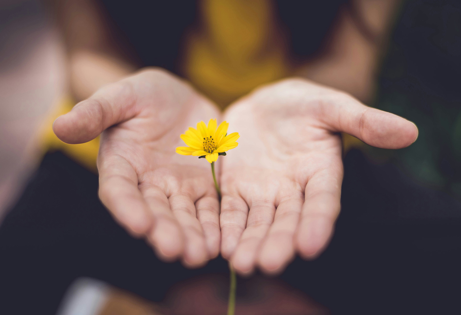 lina-trochez-ktPKyUs3Qjs-unsplash